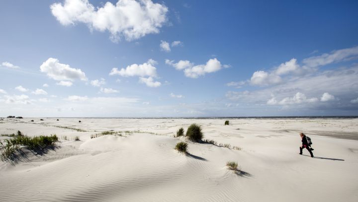 Strand Schiermonnikoog