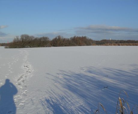 Bjorn Jacobs - Westerplas