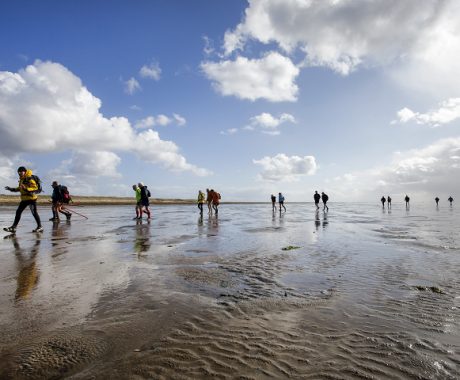 mudflat walking