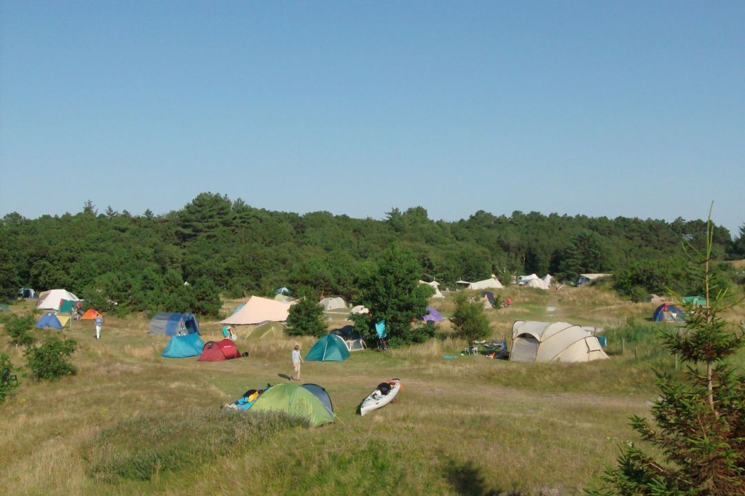 Camping Seedune - Beautifully located campsite in a varied dune area