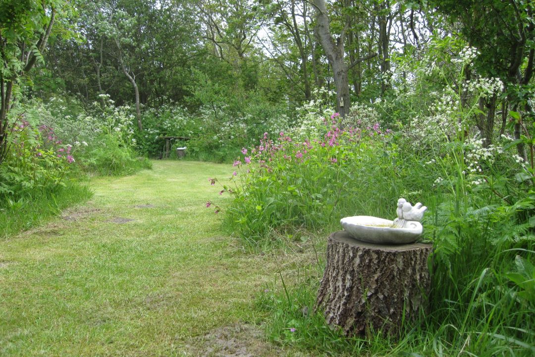 De Witte Bezem | Quiet family holiday home in the dunes