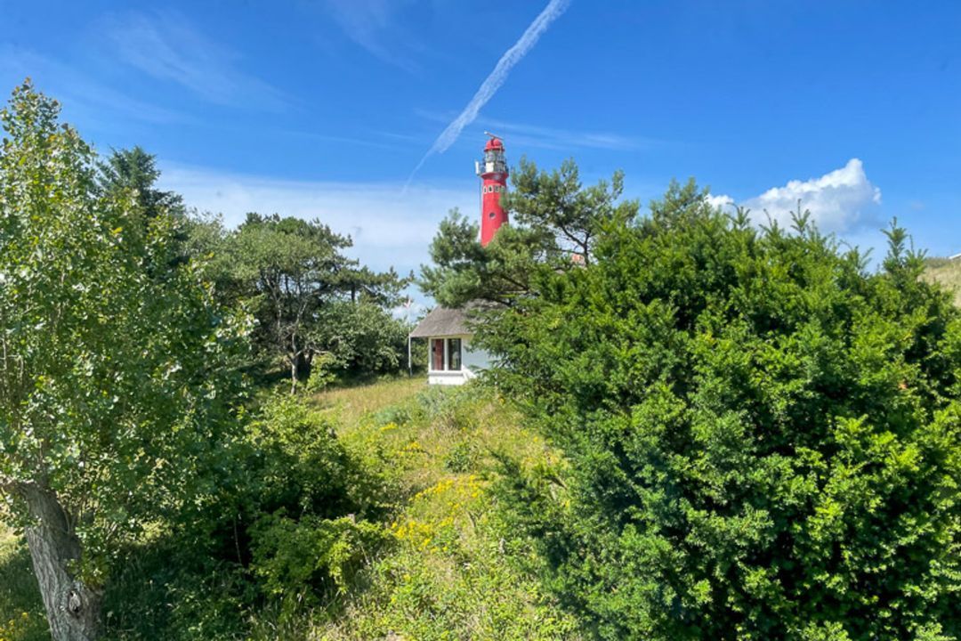 Holiday Cottage Winterkoning – Quiet Stay for 4 in the Dunes