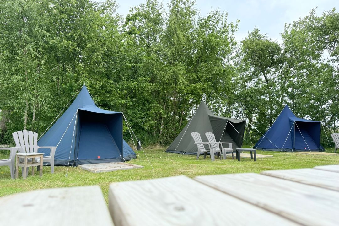 Dune tent Zeealsem at Farm de Oorsprong