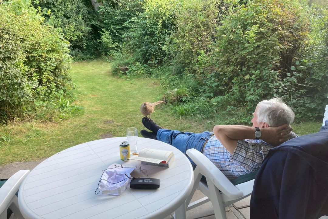 De Witte Bezem | Quiet family holiday home in the dunes