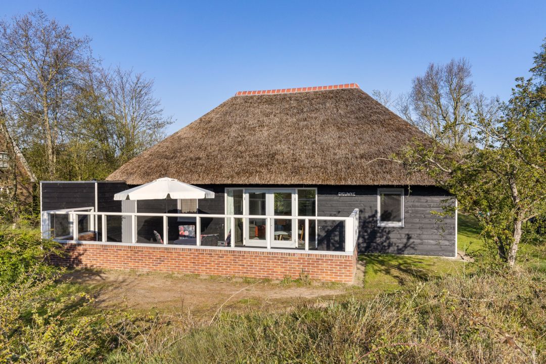 Dieuwke | Quiet holiday home in the dunes near the village