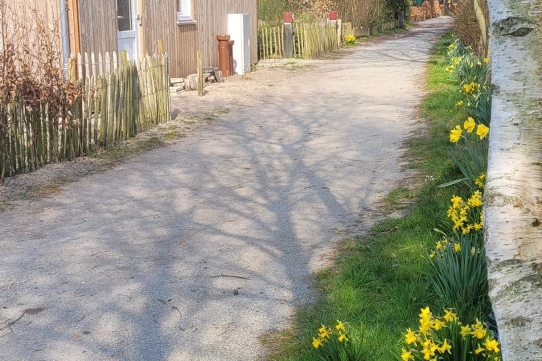 Holiday cottage Hoogtij