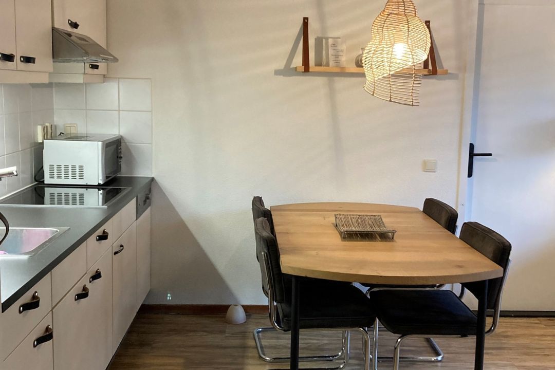 Apartment Boszicht 2 - House Berk (Birch)