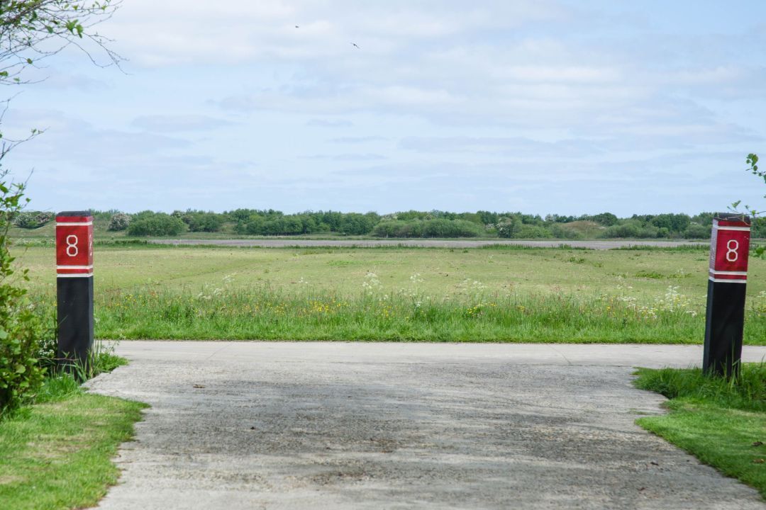Strandgaper