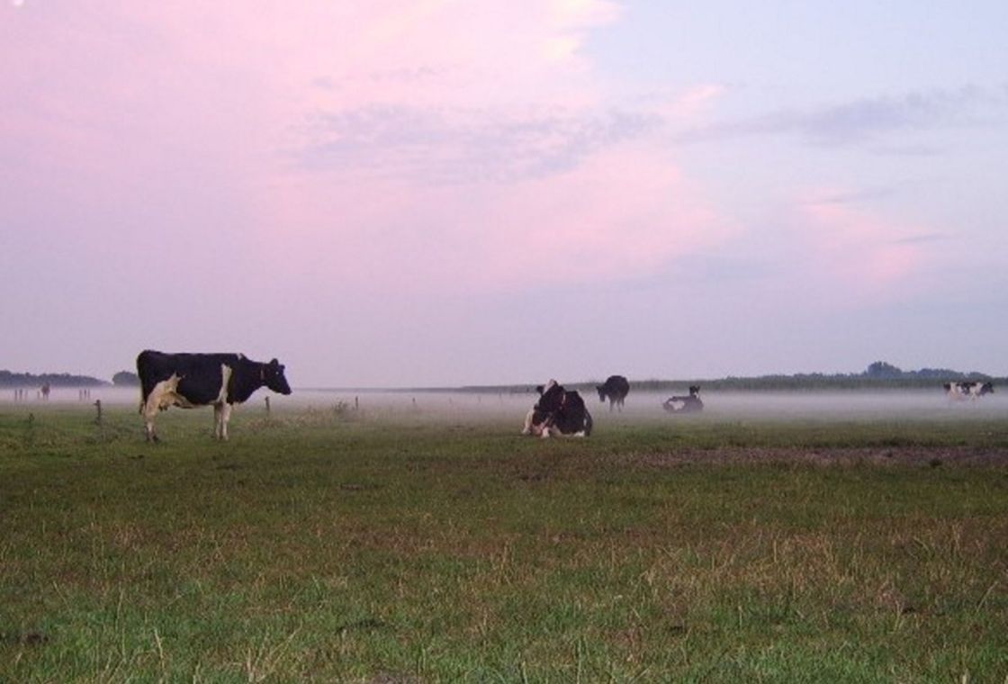 Holiday farm de Duinhoeve
