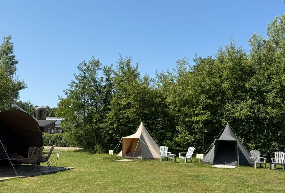 Dune tent Zeemelkdistel at farm de Oorsprong