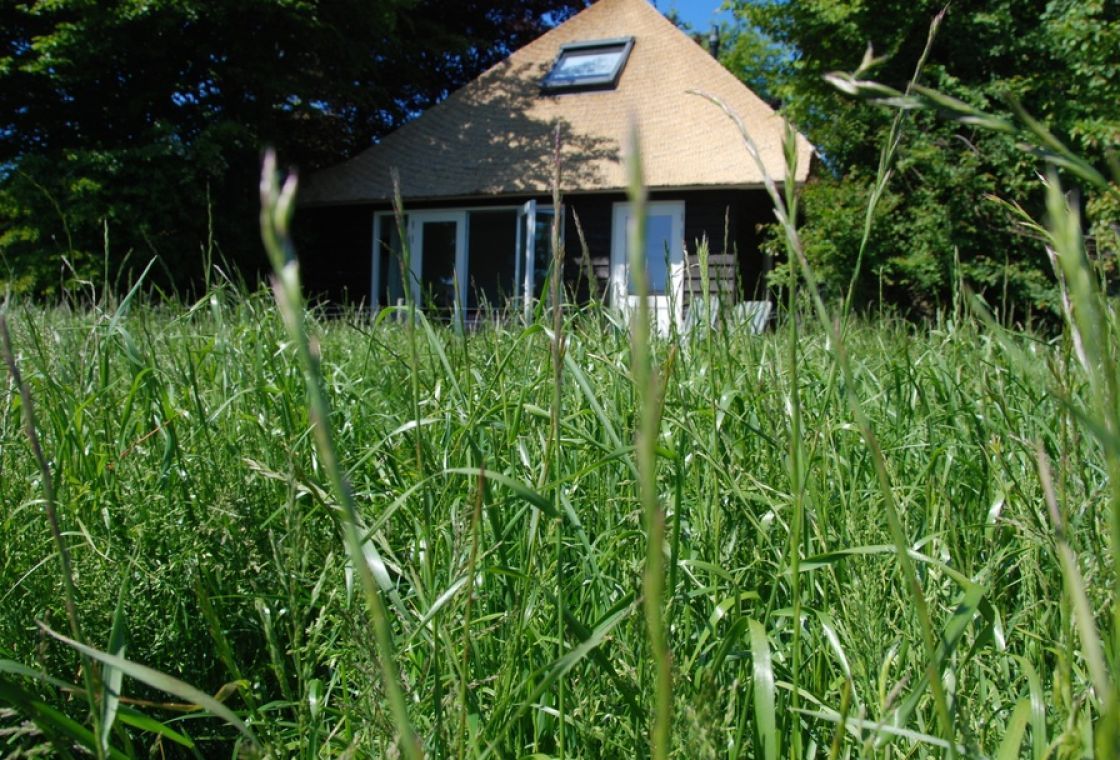 Holiday cottage ’t Atelier – Private garden & sunny terrace