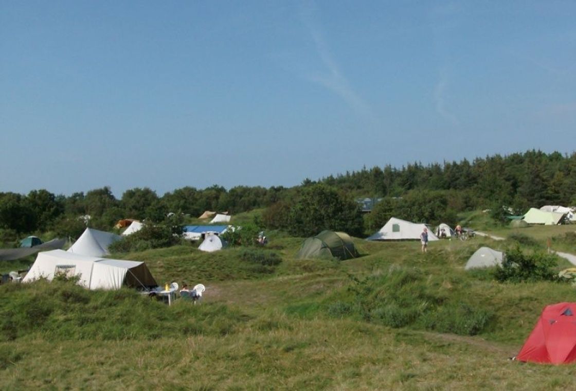 Camping Seedune - Beautifully located campsite in a varied dune area