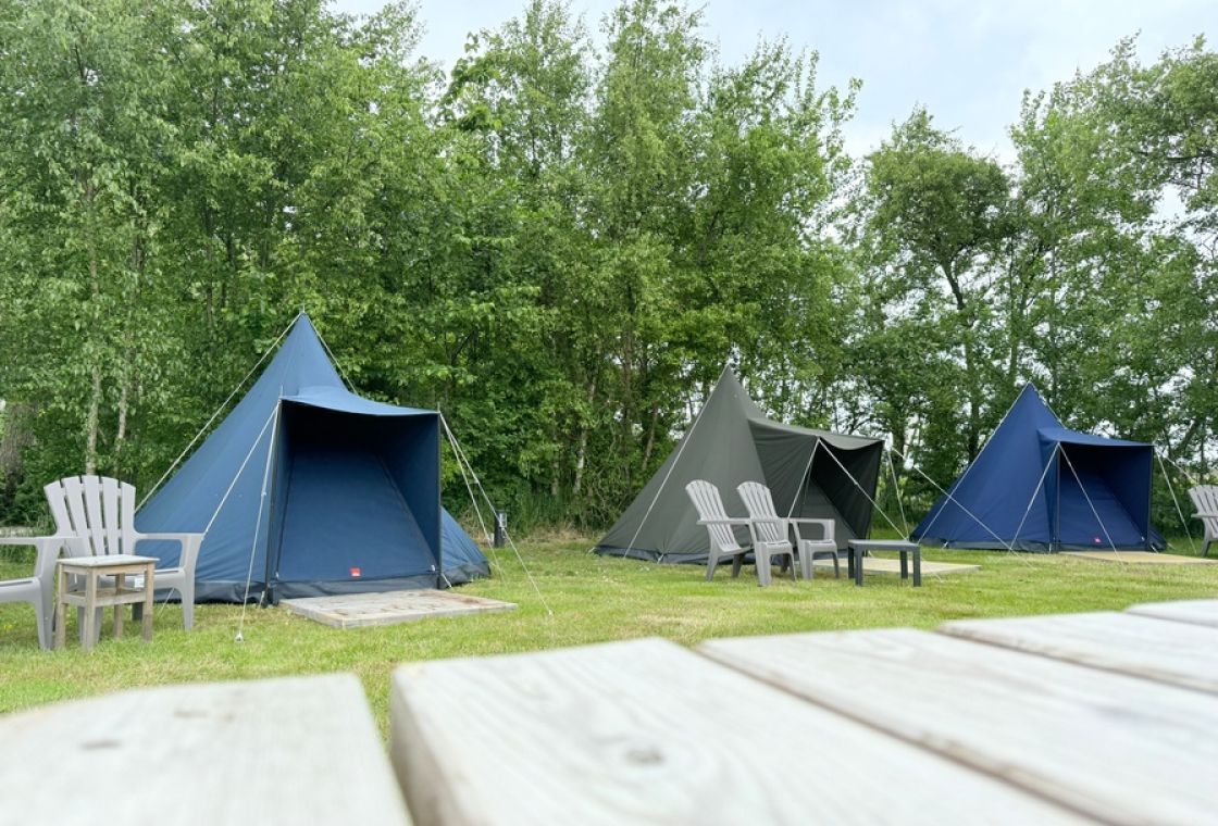 Dune tent Zeealsem at Farm de Oorsprong