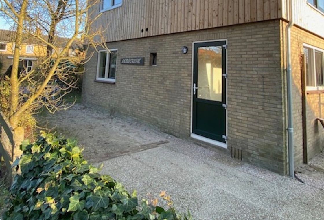 Room rental Compositae