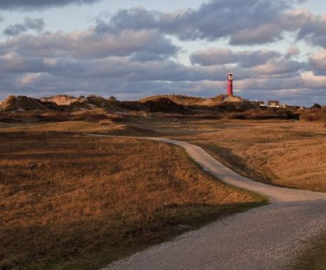 Zicht op de toren