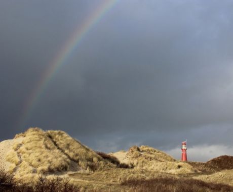 Joris Degenaar - Gouden duin aan het eind van de regenboog