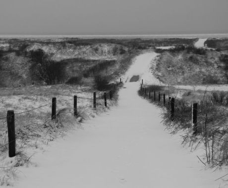 Fokko Doorn - Maagdelijk Duinpad