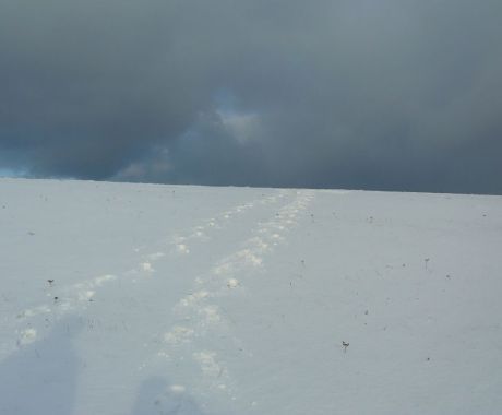 Marijke Hulshoff - Voetstappen in de sneeuw