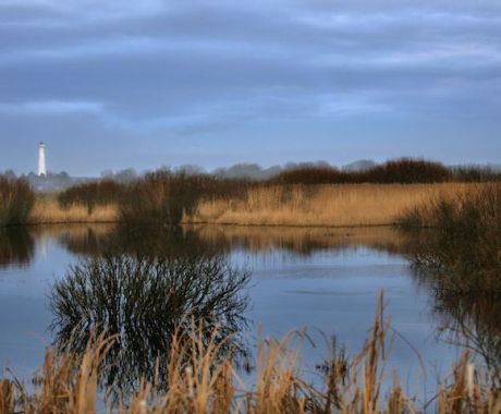 Lake Westerplas