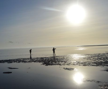 Nicoletta van Oosten - Langs het wad