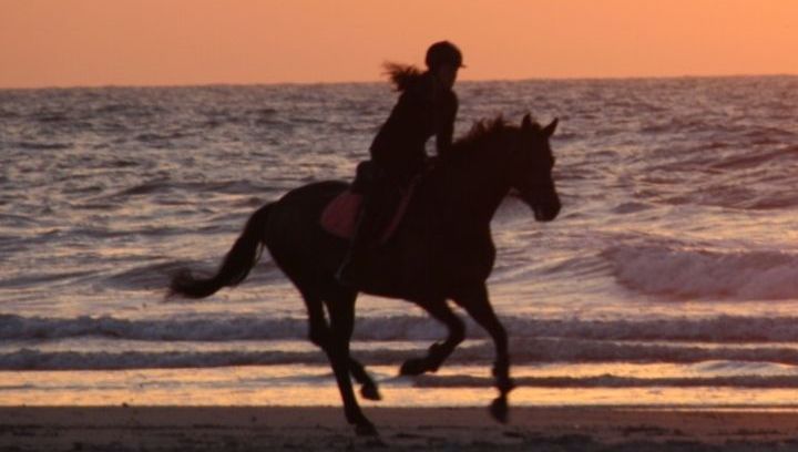 Paardrijden op Schiermonnikoog