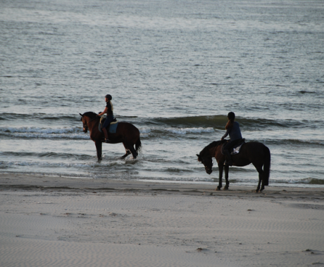 Horse riding