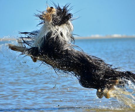 Look, I can fly - Imke Groenier