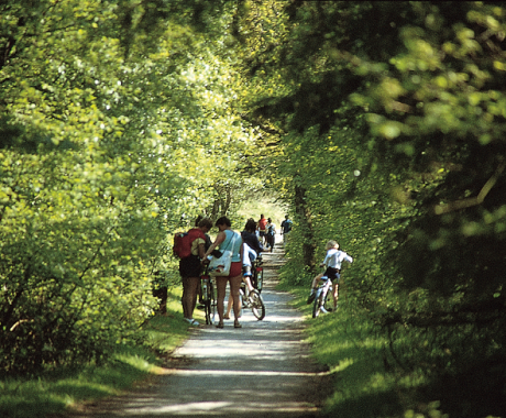 Cycling