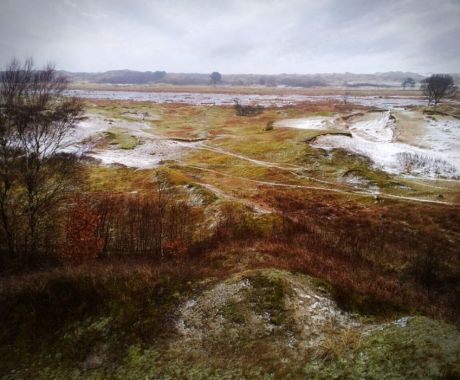 Sander Wiersma - Winterduinen