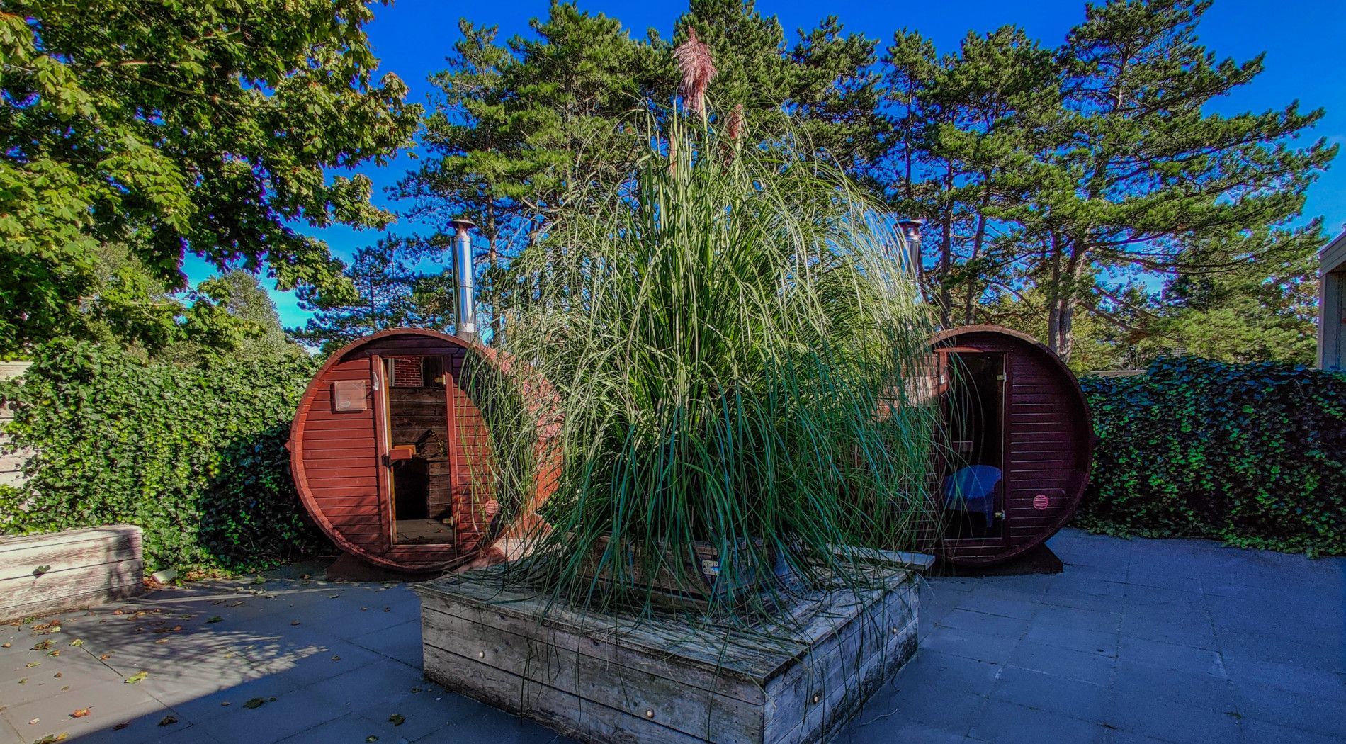 Finnish sauna on Schiermonnikoog