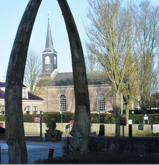 the jaw of a whale at Schiermonnikoog