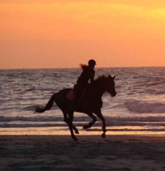 Riding on Schiermonnikoog