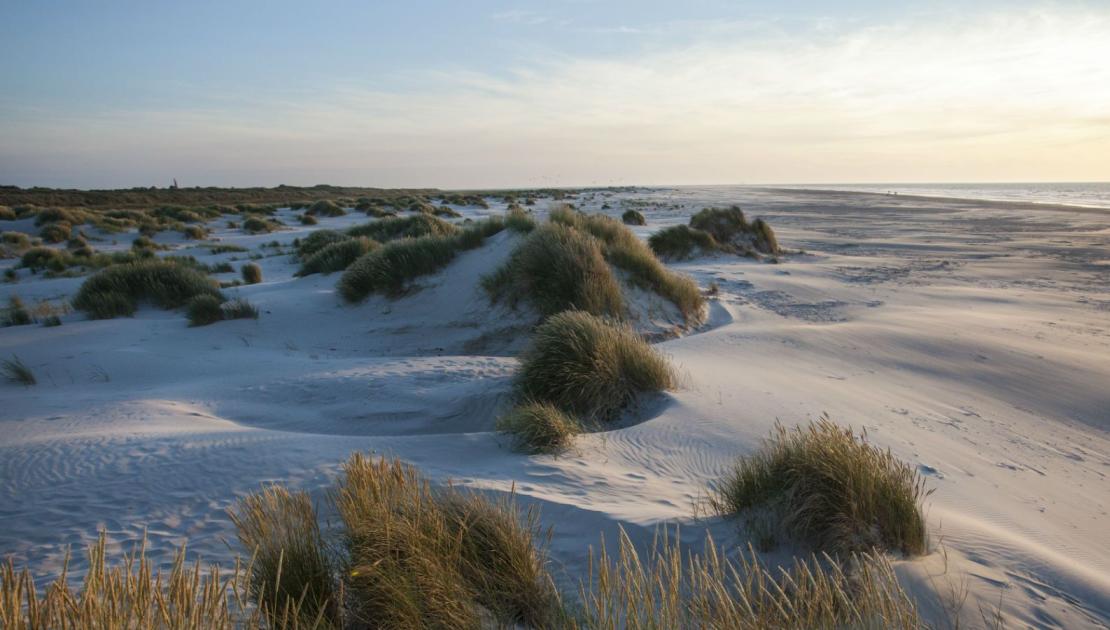 Wandelen tussen kunst en kust